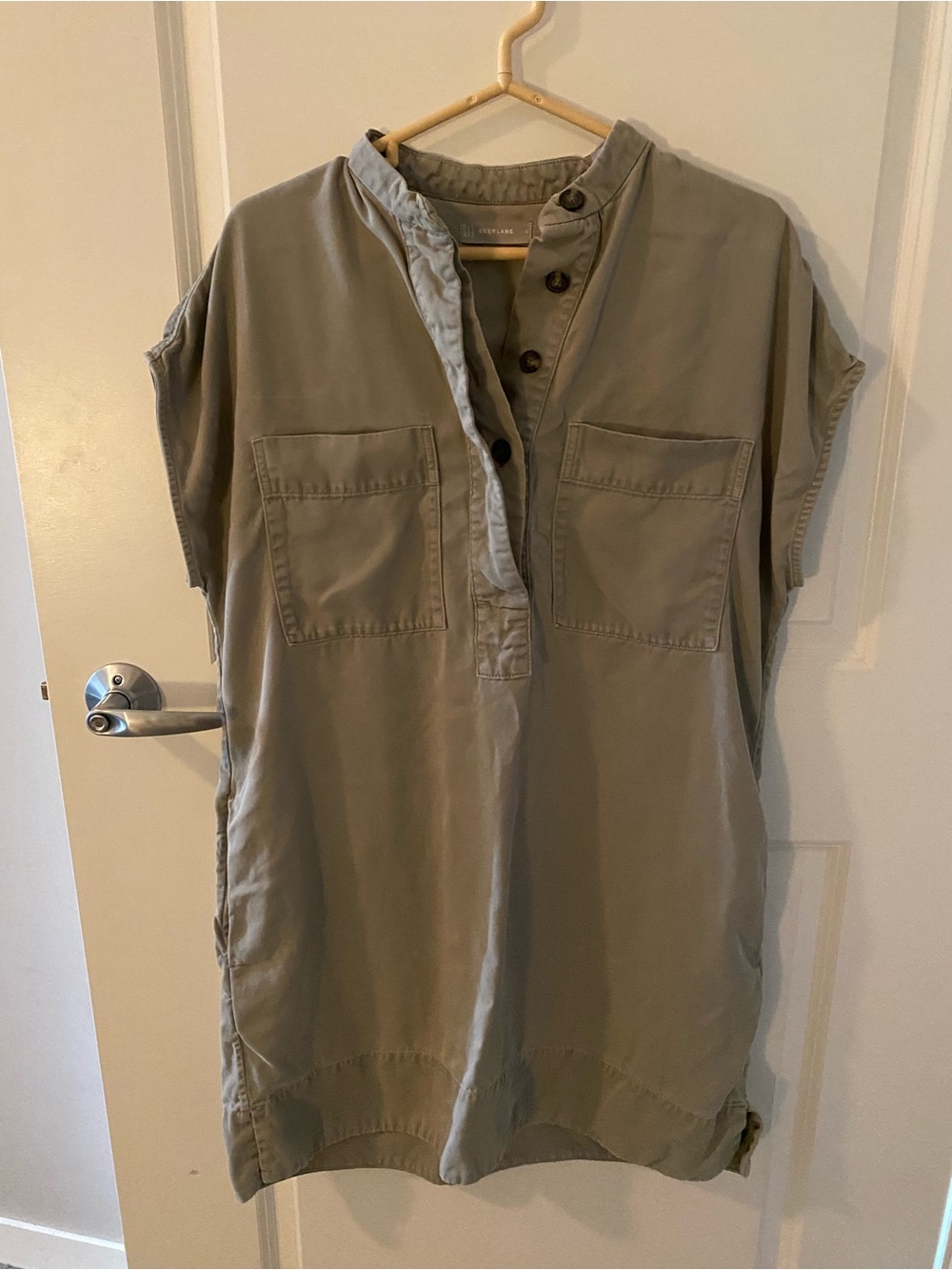 Everlane Tercel dress